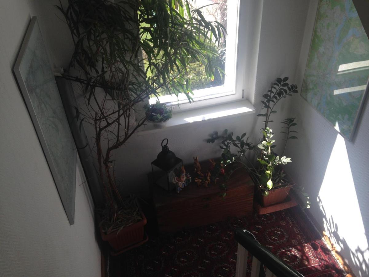 Ferienwohnung Heil - Кеніґс-Вустергаузен Екстер'єр фото